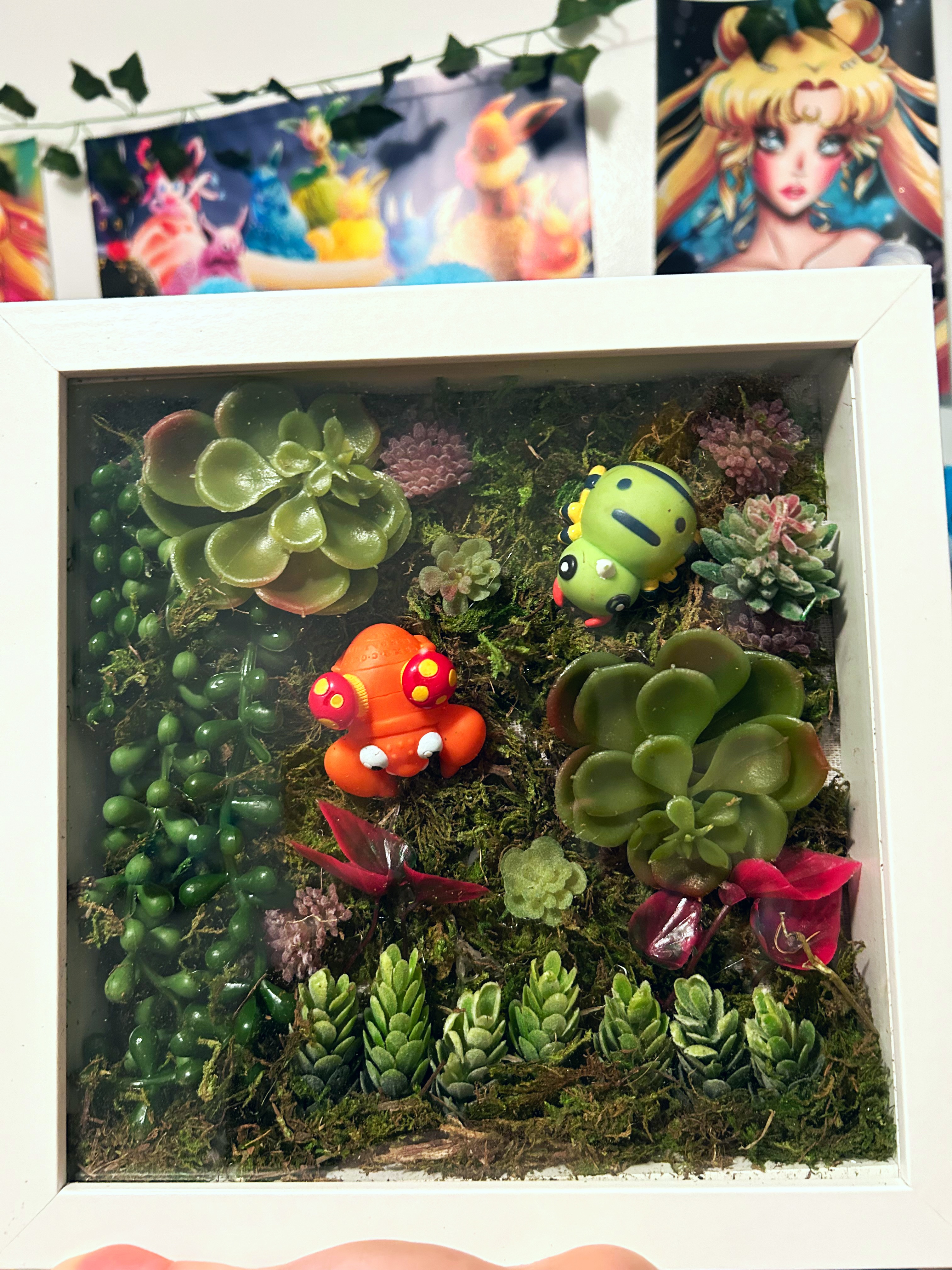 Pokemon Shadow Box Terrarium